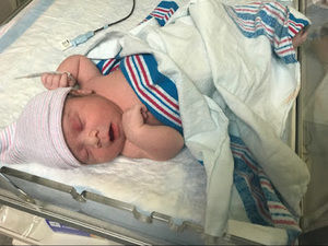 Meet your Posher, Alvin